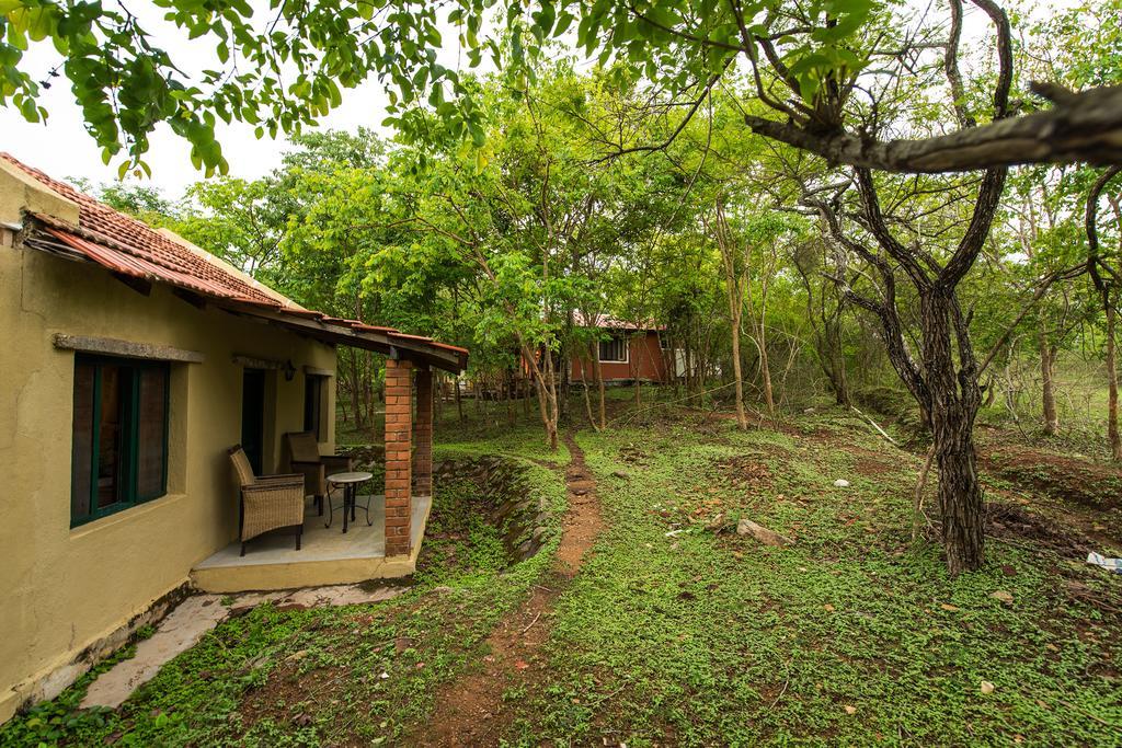 The Windflower Jungle Resort & Spa, Бандипур Экстерьер фото